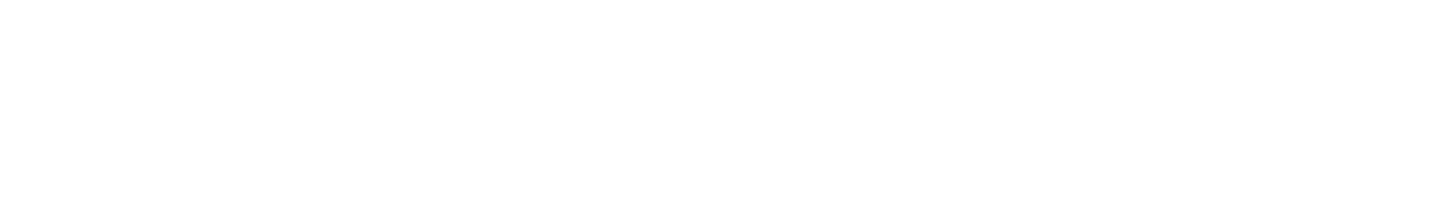 Modetizando